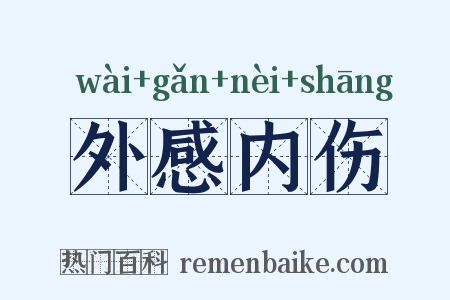 外感内伤是什么意思的图片
